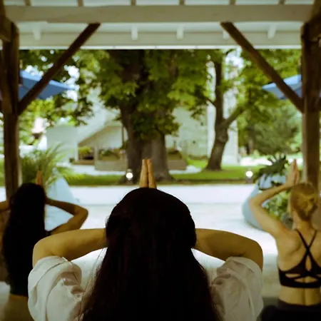 Le Moulin De Salazar 3*